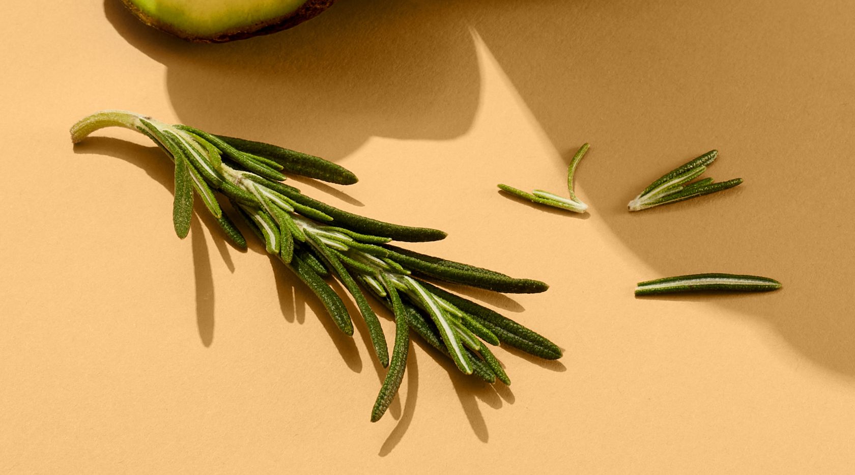 4 Benefits of Rosemary Leaf Extract for Your Hair Care Routine Ocoa