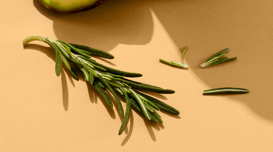 4 Benefits of Rosemary Leaf Extract for Your Hair Care Routine