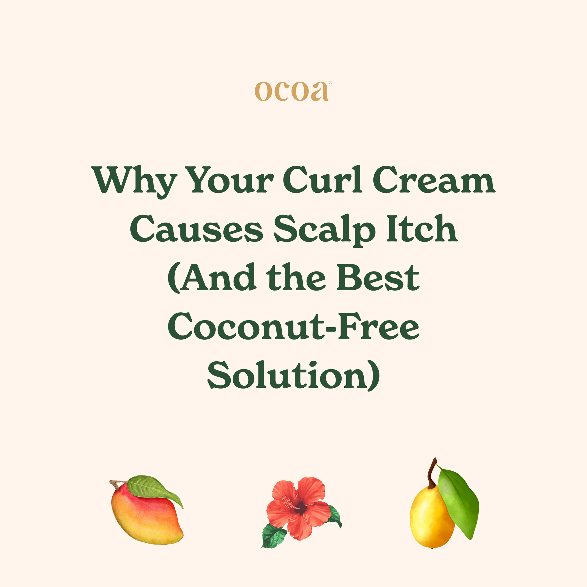 Why Your Curl Cream Causes Scalp Itch (And the Best Coconut-Free Solution)