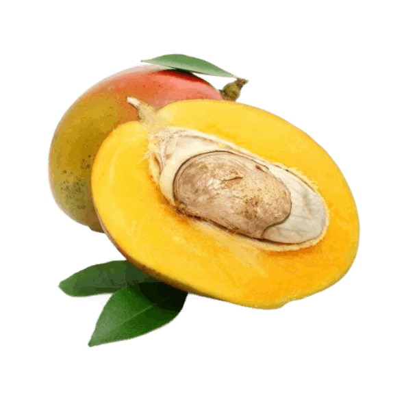 Mango Seed Butter