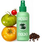 Curl Refresh + Hold Spray